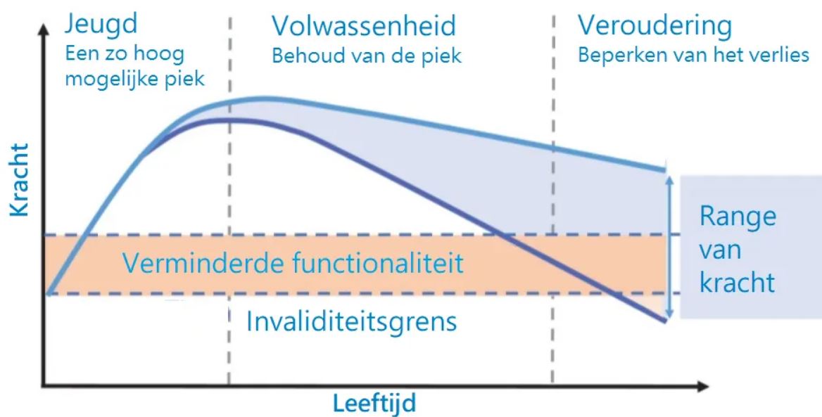 You-plus - sarcopenie - verlies van spiermassa